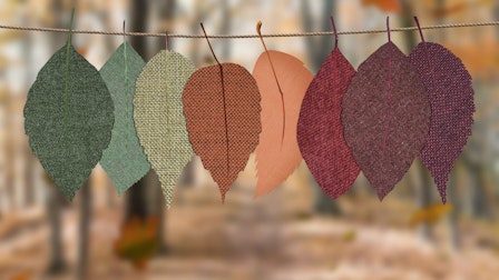 Pexels designecologist 1389460 min